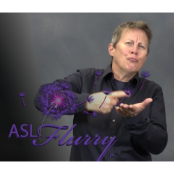 ASL Flurry: The Nitty...